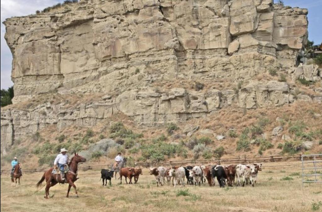 Montana Inn Near Little Big Horn Battlefield-Pompey Piller-Colstrip Forsyth Ngoại thất bức ảnh